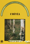 L'hévéa vignette